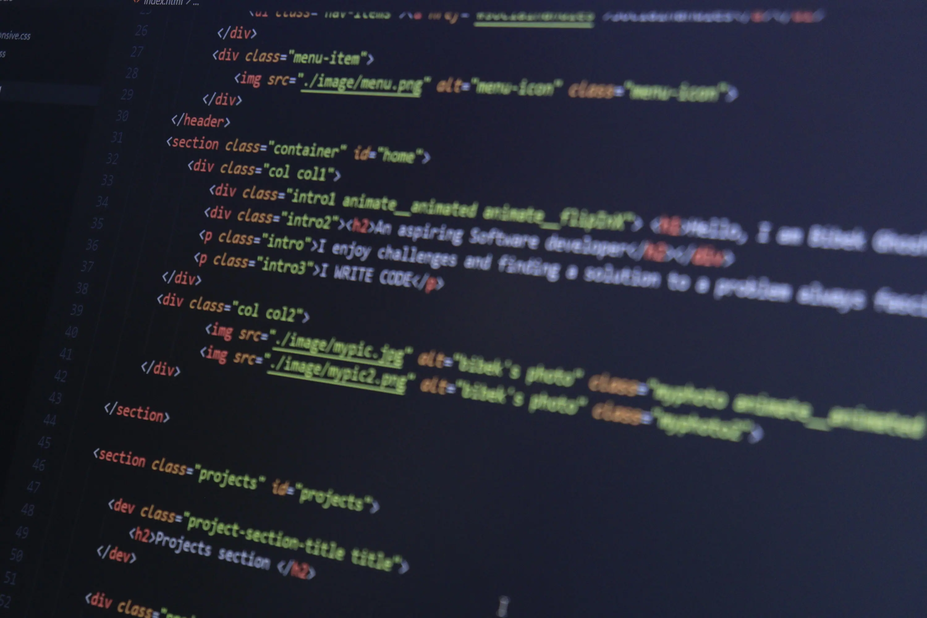 eCommerce Development